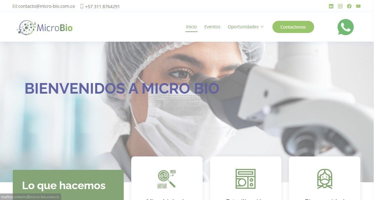 Pagina Web Empresarial